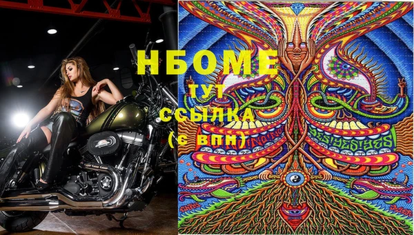 ешки Семилуки