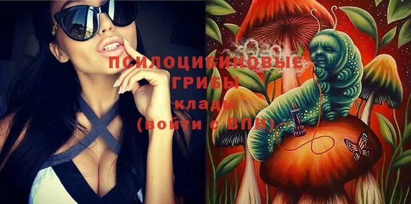 ешки Семилуки